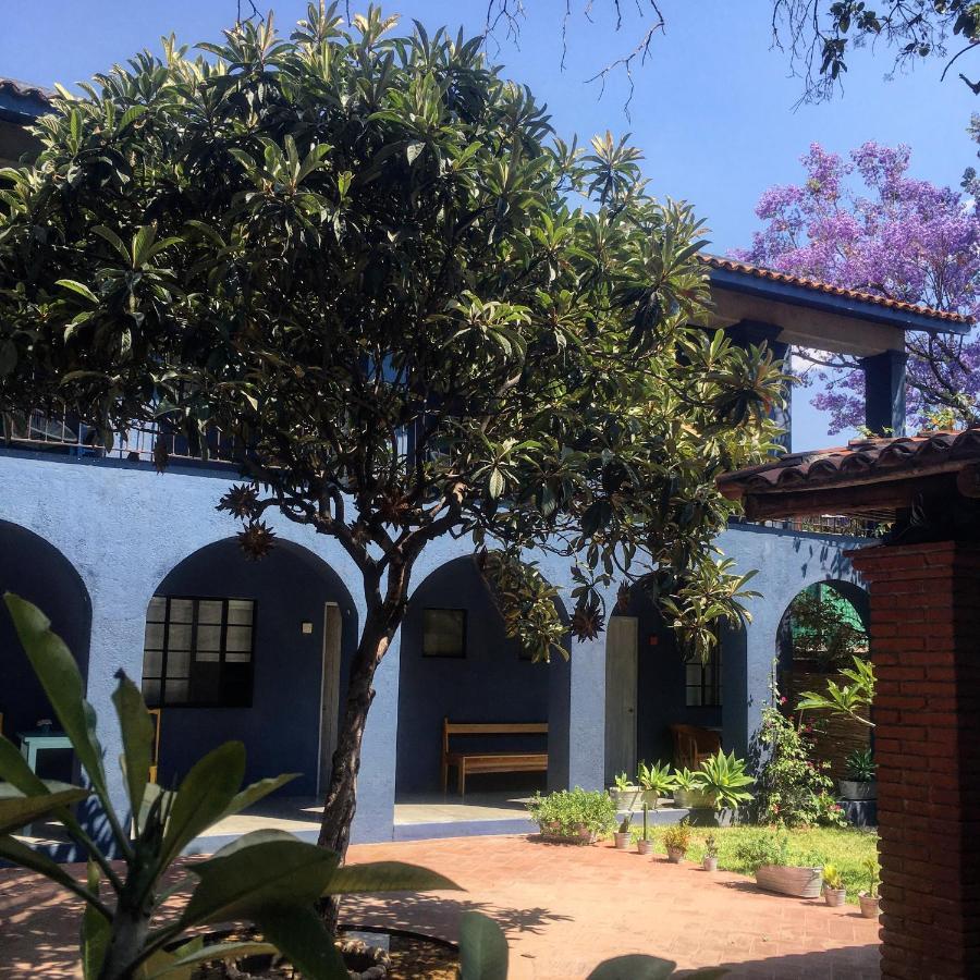 La Betulia 2*