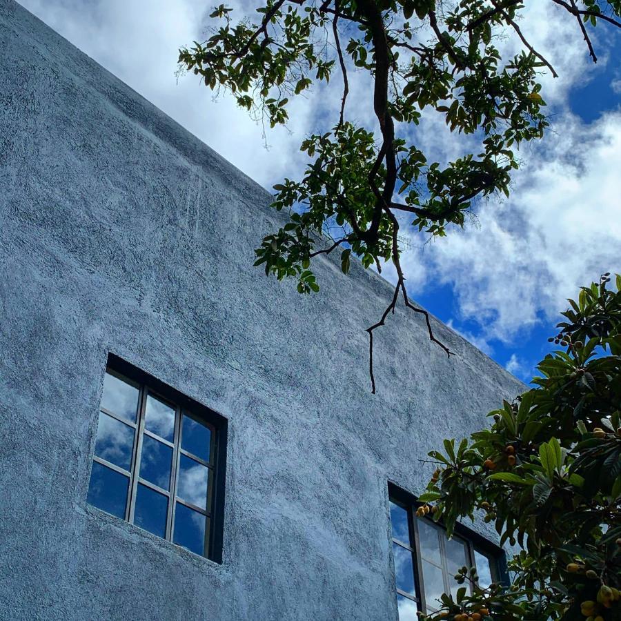 La Betulia Oaxaca